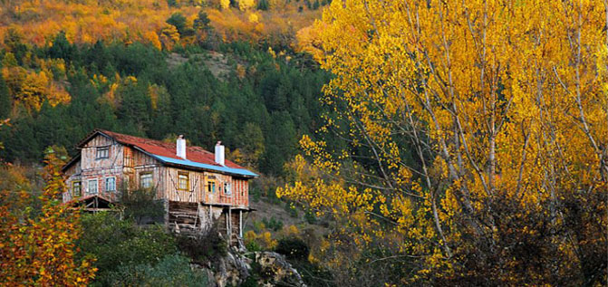 Köyümüzden Manzaralar 5